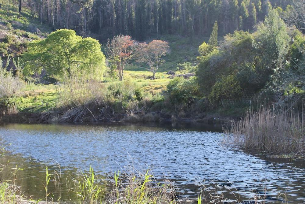 Blackwaters River Lodge, Knysna Buitenkant foto