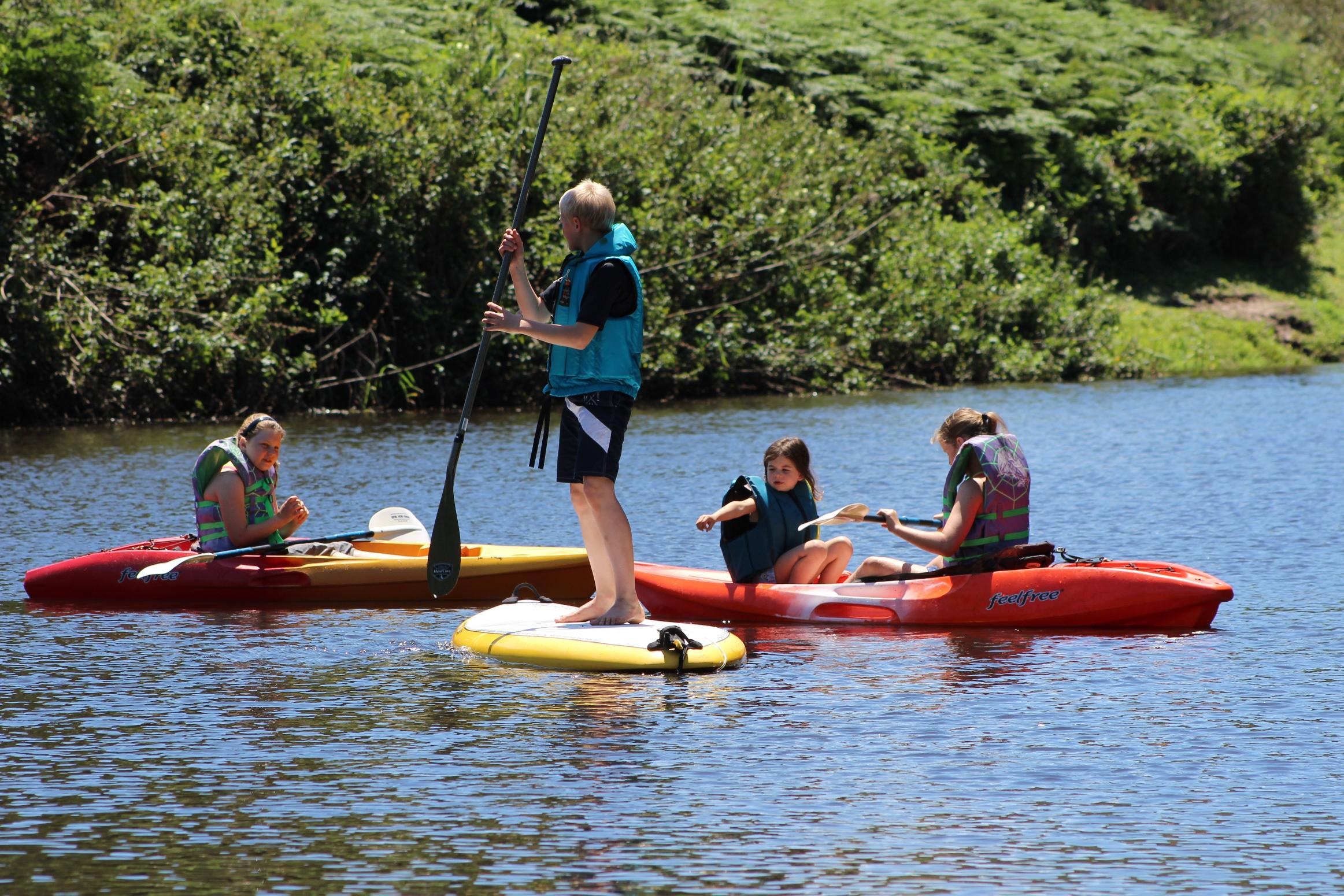 Blackwaters River Lodge, Knysna Buitenkant foto