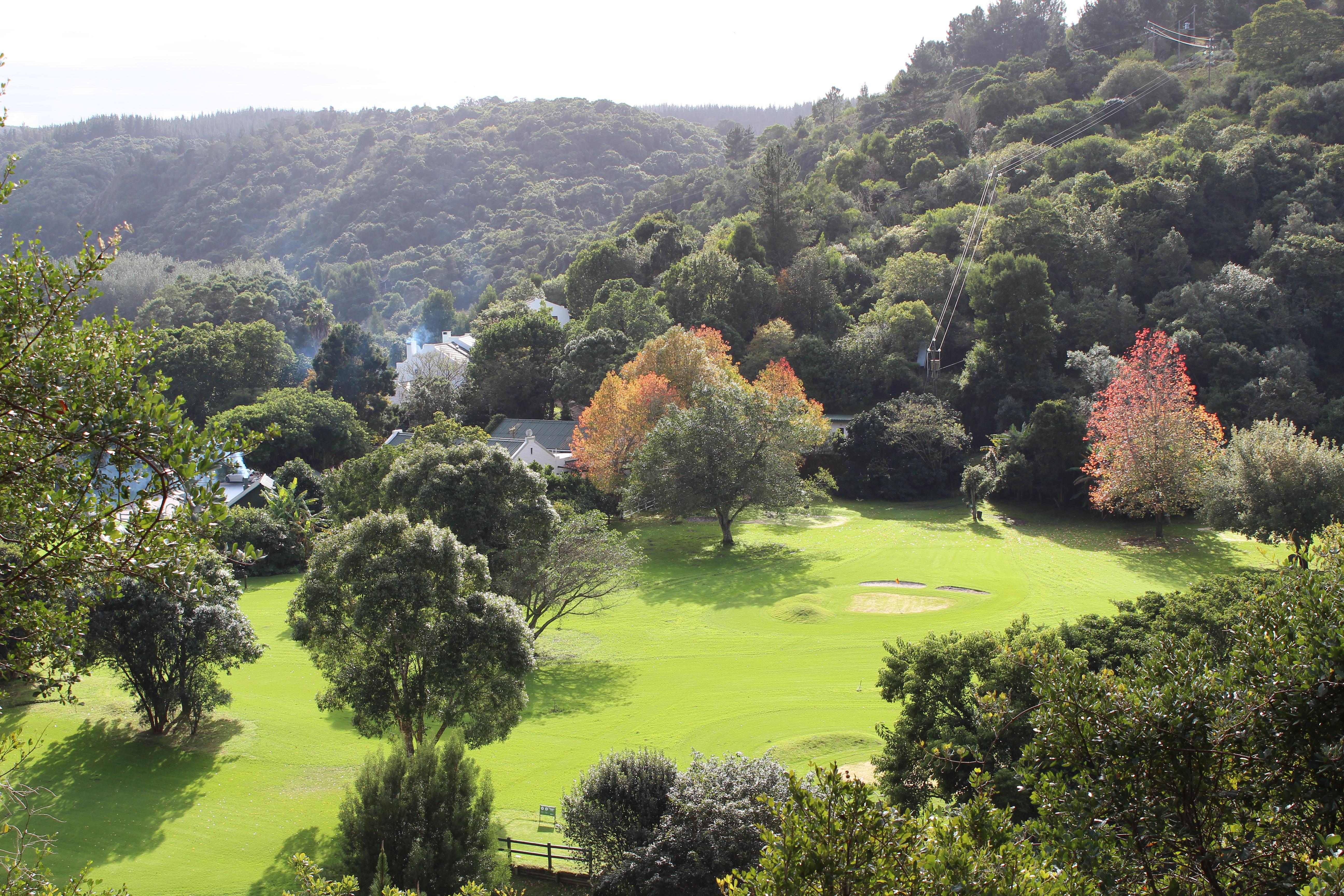 Blackwaters River Lodge, Knysna Buitenkant foto