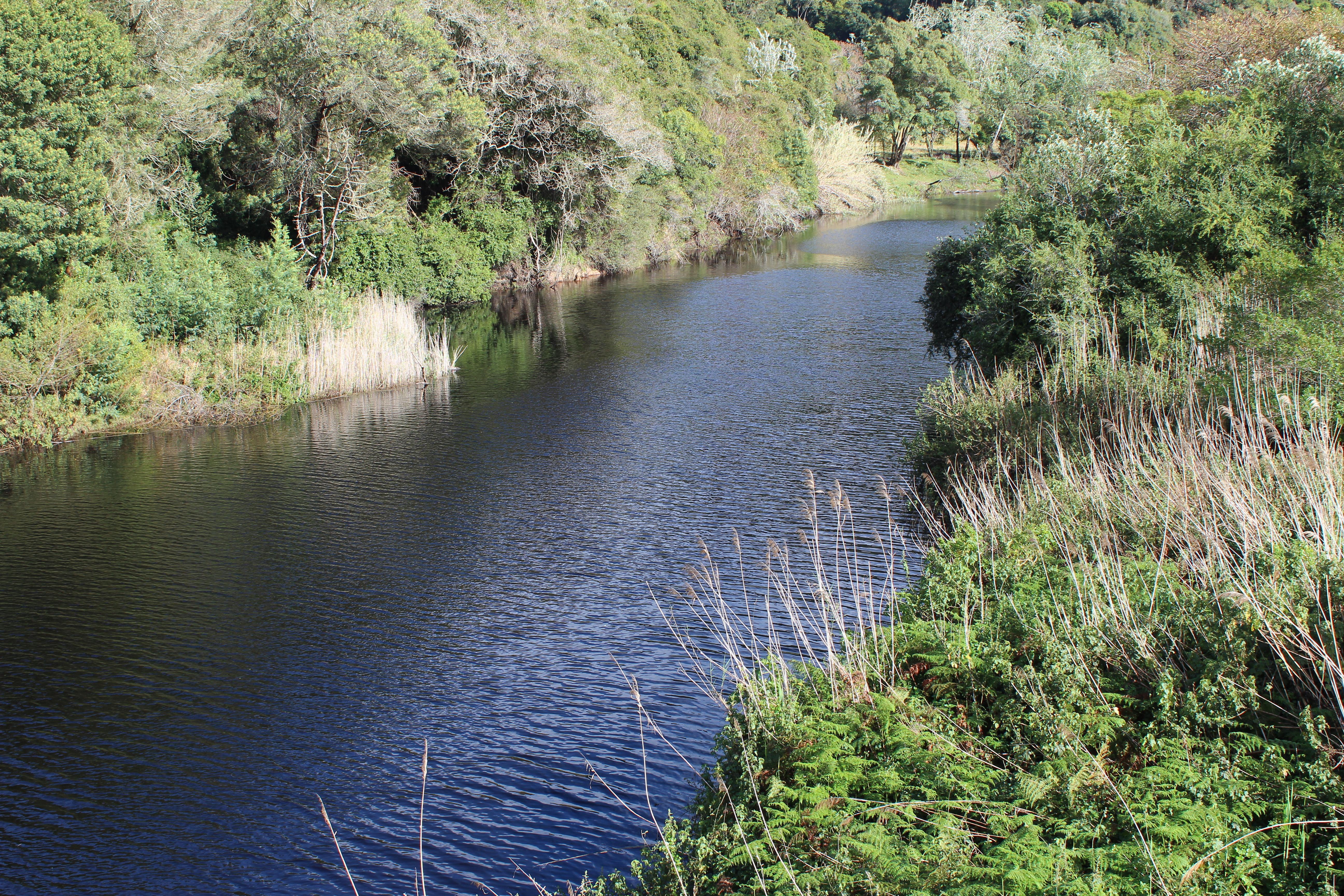 Blackwaters River Lodge, Knysna Buitenkant foto