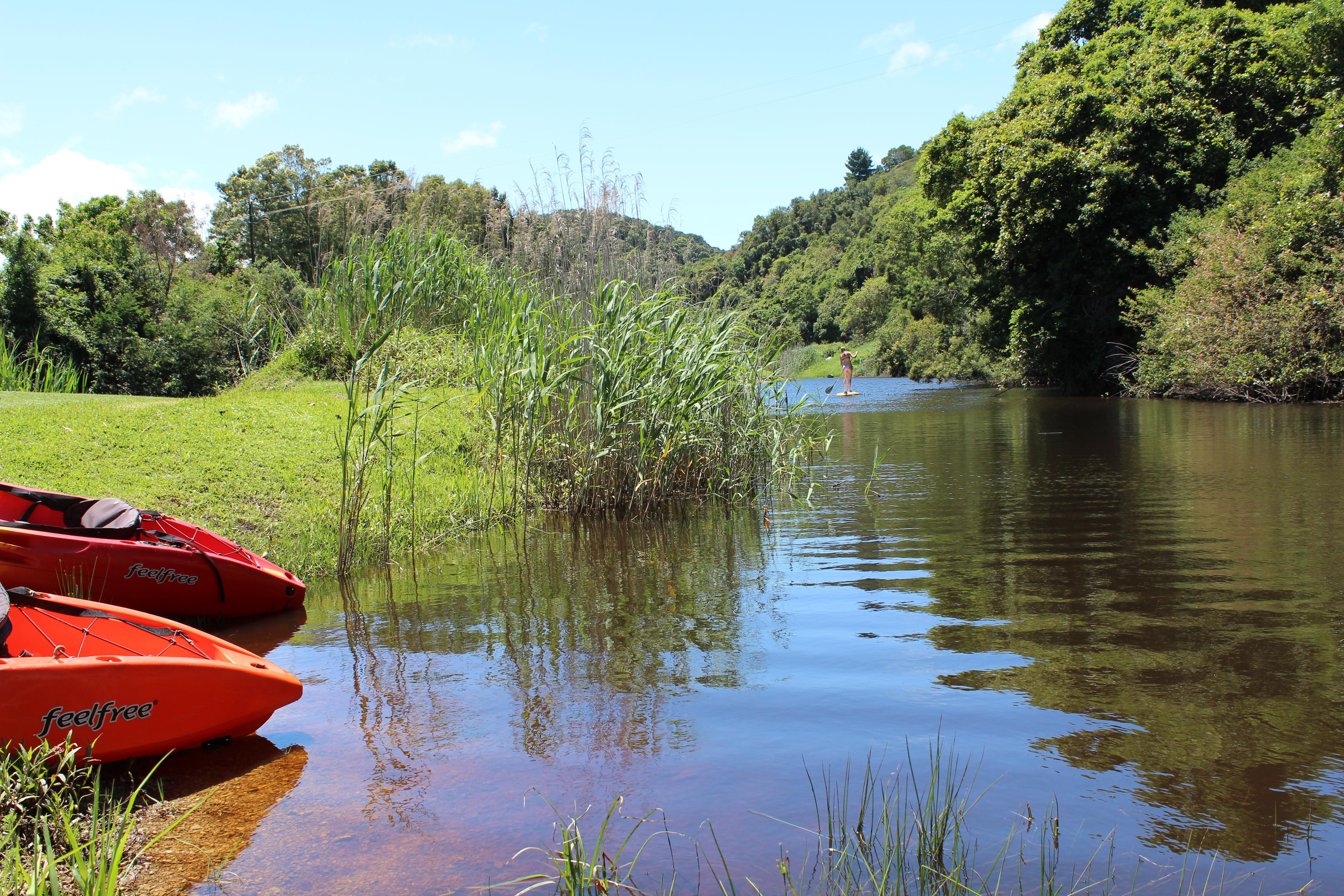 Blackwaters River Lodge, Knysna Buitenkant foto